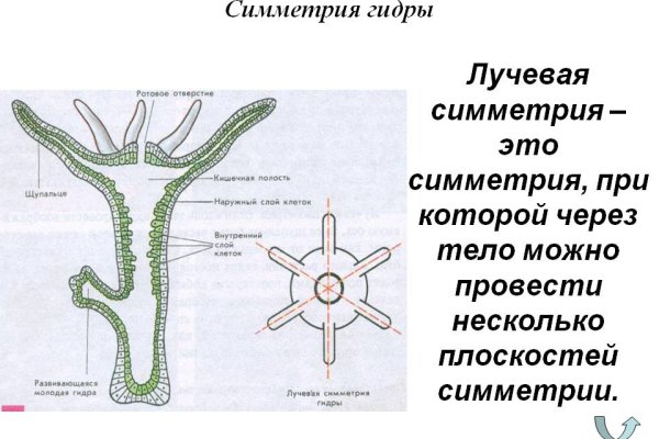 Кракен запрещенные вещества