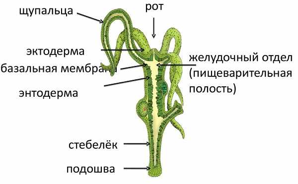 Как зайти на кракен kr2web in